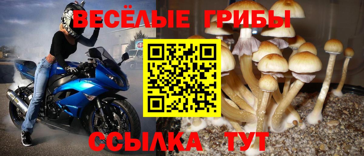 Галлюциногенные грибы MAGIC MUSHROOMS Коломна