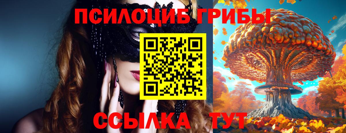 Галлюциногенные грибы GOLDEN TEACHER  Вход с VPN  цена   Коломна 